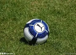 米乐体育,资讯,米乐体育平台,米乐体育平台,米乐体育官方网站,米乐体育登录入口,米乐体育app下载