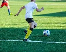 年美国银行,预测,黄金价格可,米乐体育平台,米乐体育官方网站,米乐体育登录入口,米乐体育app下载