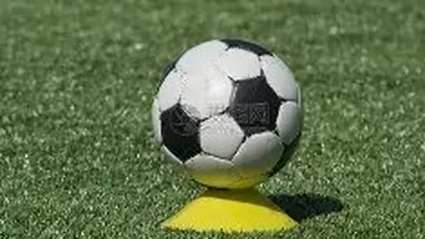 米乐体育 产品 085607 7t7