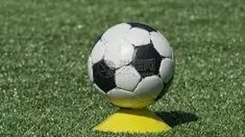 米乐体育 资讯 093009 xcr