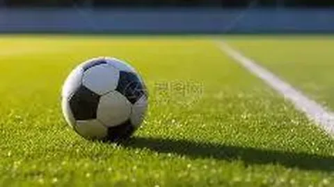 米乐体育 资讯 092836 nqv