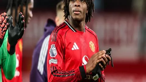 [NBA]哈利橄榄场上展露非凡天赋